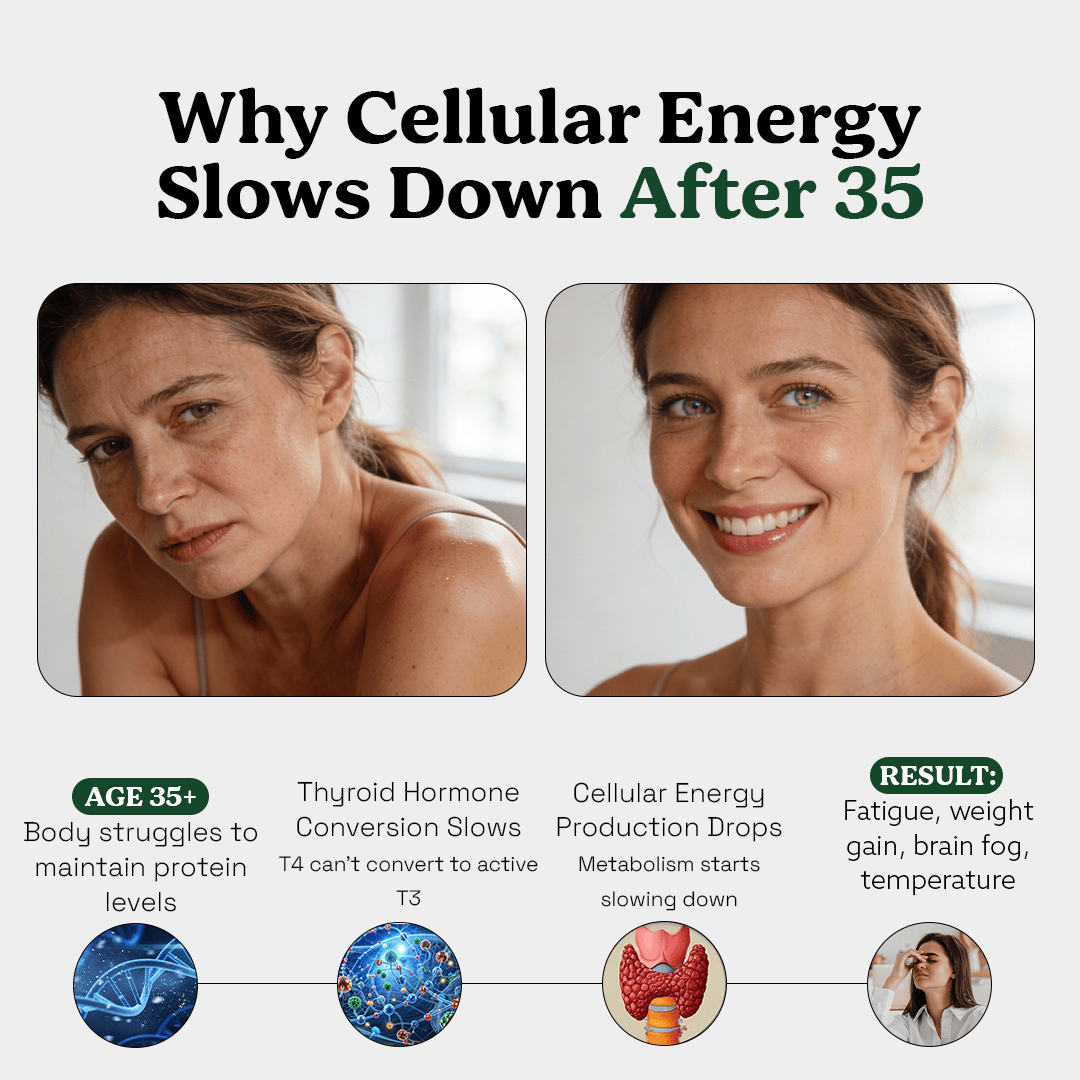 Greenleaf Smart Protein Blend