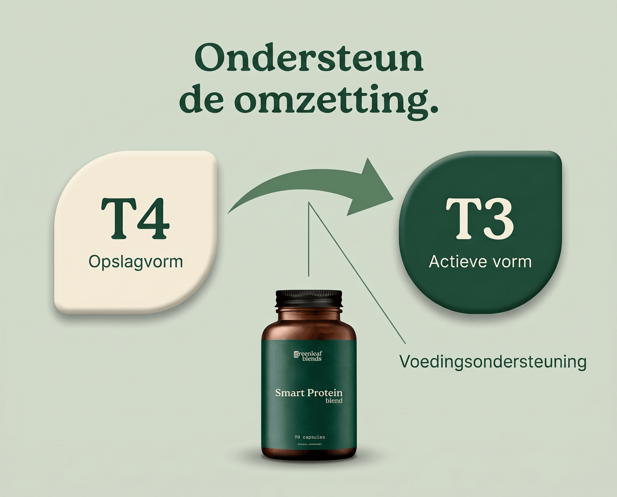 Ondersteunt de natuurlijke aanmaak van T3.